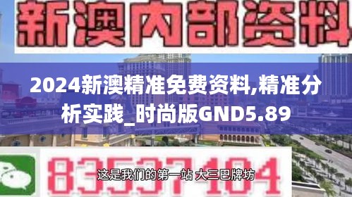 2024新澳精准免费资料,精准分析实践_时尚版GND5.89