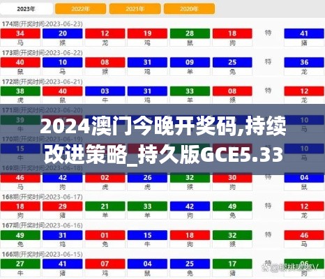 2024澳门今晚开奖码,持续改进策略_持久版GCE5.33