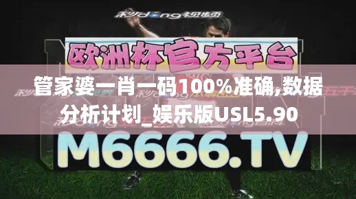 管家婆一肖一码100%准确,数据分析计划_娱乐版USL5.90