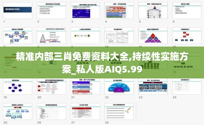 精准内部三肖免费资料大全,持续性实施方案_私人版AIQ5.99