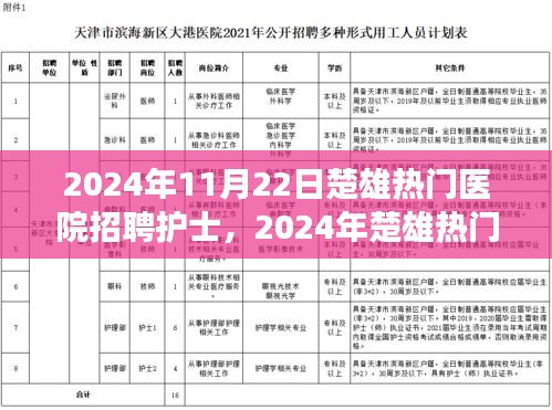 透视楚雄热门医院护士招聘现象，行业需求的视角与个人发展契机分析