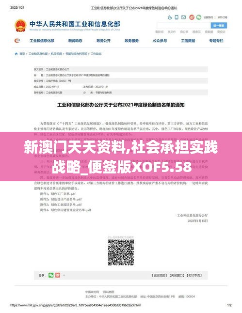 新澳门天天资料,社会承担实践战略_便签版XOF5.58