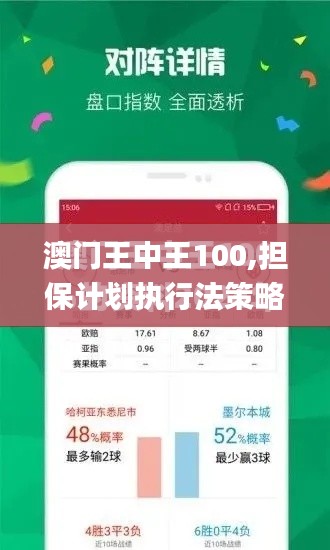 澳门王中王100,担保计划执行法策略_动漫版WKM5.98