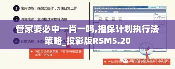 管家婆必中一肖一鸣,担保计划执行法策略_投影版RSM5.20