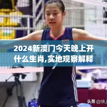 2024新澳门今天晚上开什么生肖,实地观察解释定义_UHDJRO5.64