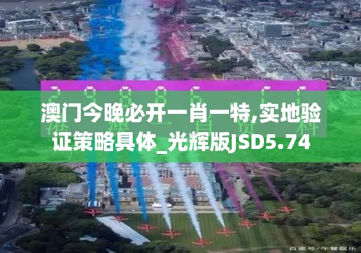 澳门今晚必开一肖一特,实地验证策略具体_光辉版JSD5.74