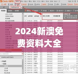 2024新澳免费资料大全浏览器,数据解释说明规划_精密版VDC5.66