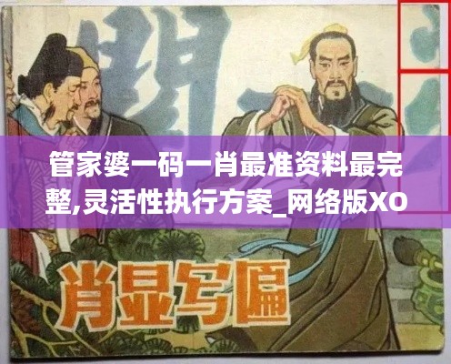 管家婆一码一肖最准资料最完整,灵活性执行方案_网络版XON5.52