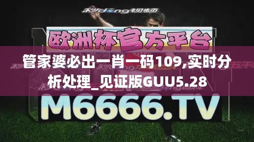 管家婆必出一肖一码109,实时分析处理_见证版GUU5.28