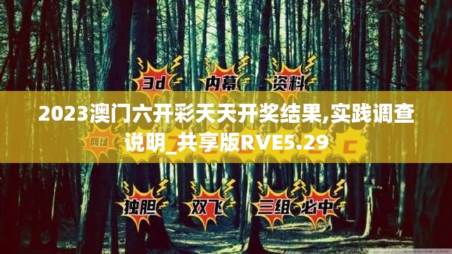 2023澳门六开彩天天开奖结果,实践调查说明_共享版RVE5.29