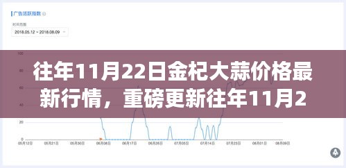 往年11月22日金杞大蒜行情深度解析及最新价格动态