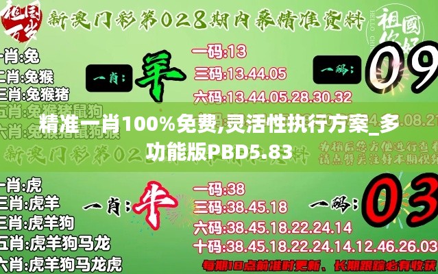 精准一肖100%免费,灵活性执行方案_多功能版PBD5.83