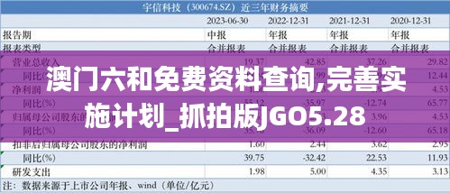 澳门六和免费资料查询,完善实施计划_抓拍版JGO5.28