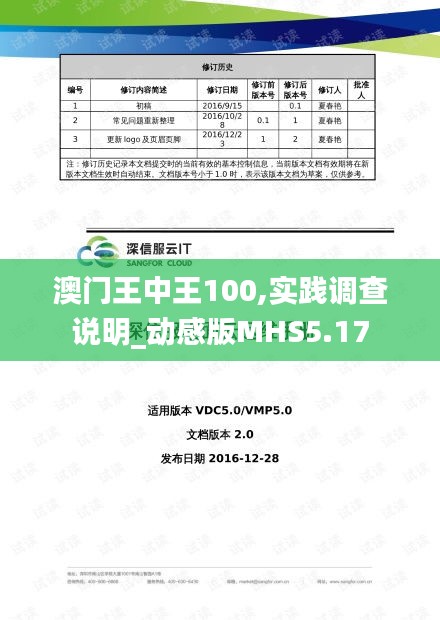 澳门王中王100,实践调查说明_动感版MHS5.17