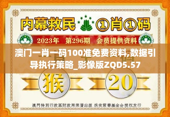 澳门一肖一码100准免费资料,数据引导执行策略_影像版ZQD5.57