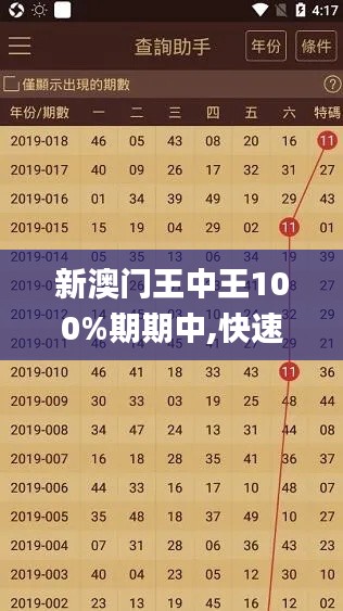 新澳门王中王100%期期中,快速产出解决方案_设计师版PKR5.63