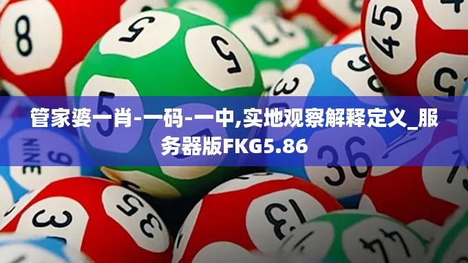 管家婆一肖-一码-一中,实地观察解释定义_服务器版FKG5.86