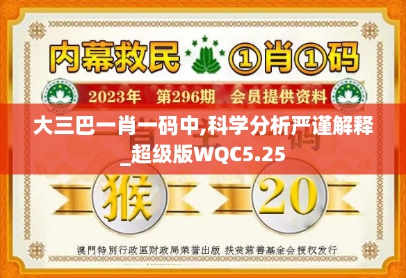 大三巴一肖一码中,科学分析严谨解释_超级版WQC5.25