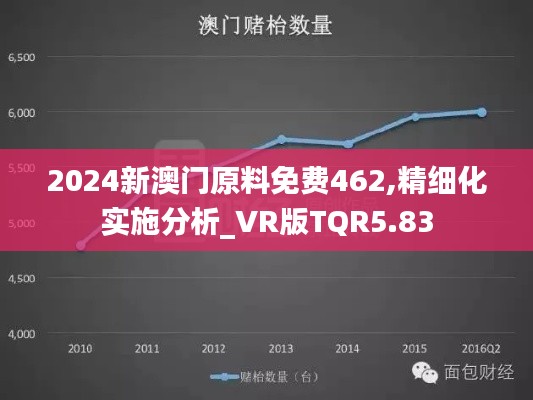 2024新澳门原料免费462,精细化实施分析_VR版TQR5.83