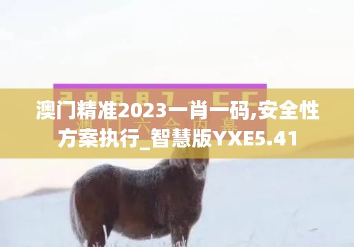 澳门精准2023一肖一码,安全性方案执行_智慧版YXE5.41