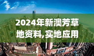 2024年新澳芳草地资料,实地应用实践解读_光辉版WWH5.97