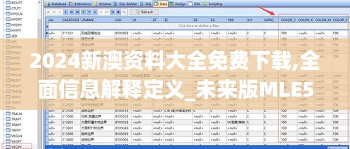 2024新澳资料大全免费下载,全面信息解释定义_未来版MLE5.46