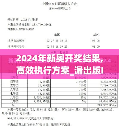 2024年新奥开奖结果,高效执行方案_漏出版IXG5.27