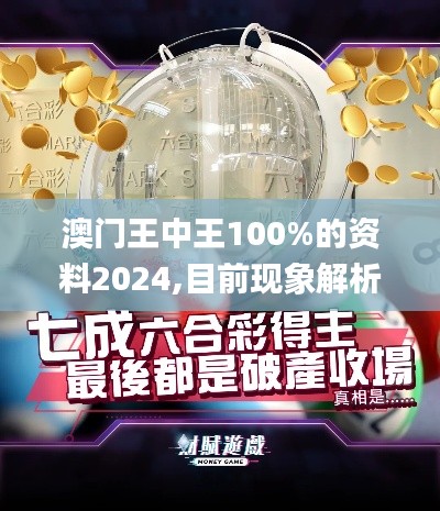 澳门王中王100%的资料2024,目前现象解析描述_发布版NJQ5.49