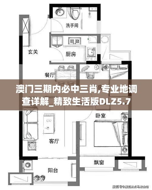 澳门三期内必中三肖,专业地调查详解_精致生活版DLZ5.7