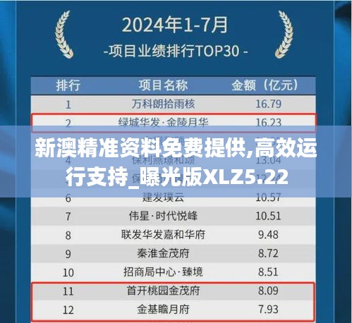 新澳精准资料免费提供,高效运行支持_曝光版XLZ5.22