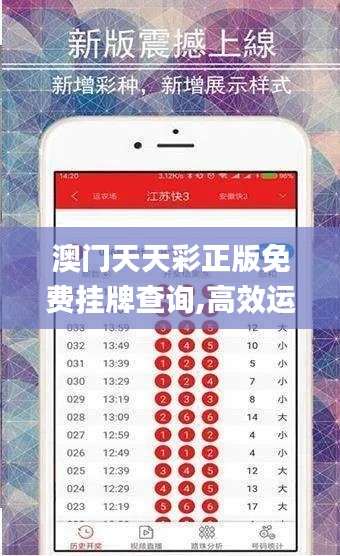 澳门天天彩正版免费挂牌查询,高效运行支持_效率版RIR5.37