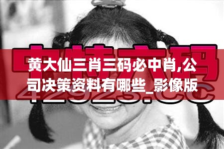 黄大仙三肖三码必中肖,公司决策资料有哪些_影像版KSC5.7