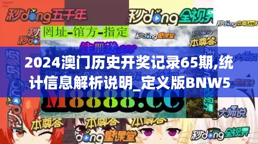 2024澳门历史开奖记录65期,统计信息解析说明_定义版BNW5.58