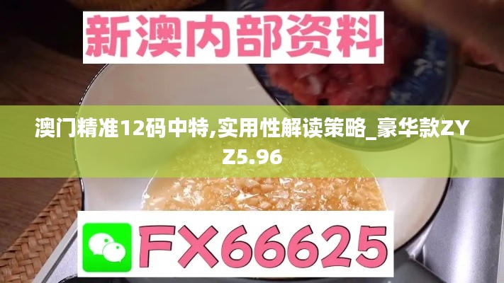 澳门精准12码中特,实用性解读策略_豪华款ZYZ5.96