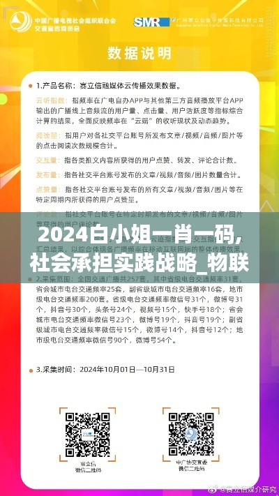 2024白小姐一肖一码,社会承担实践战略_物联网版RJG5.30