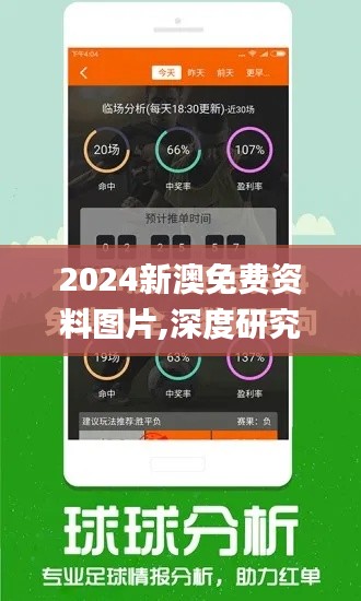 2024新澳免费资料图片,深度研究解析_互联版NVH5.42