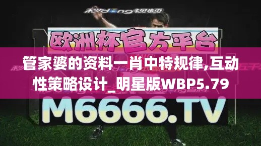 管家婆的资料一肖中特规律,互动性策略设计_明星版WBP5.79