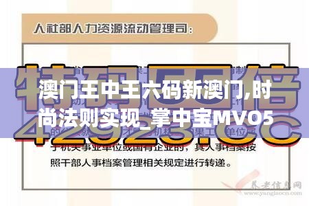 澳门王中王六码新澳门,时尚法则实现_掌中宝MVO5.1