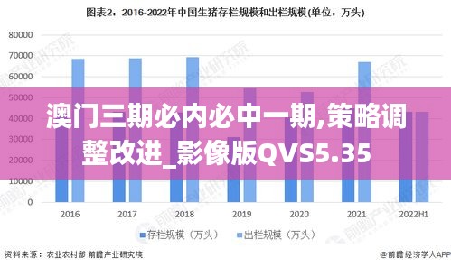 澳门三期必内必中一期,策略调整改进_影像版QVS5.35