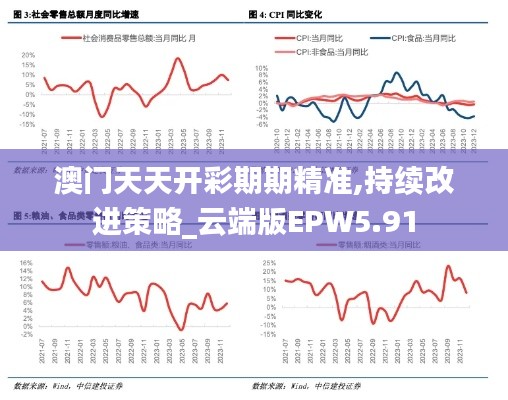 澳门天天开彩期期精准,持续改进策略_云端版EPW5.91