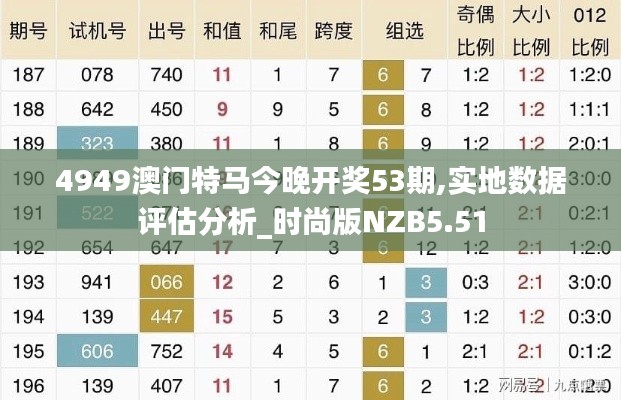 4949澳门特马今晚开奖53期,实地数据评估分析_时尚版NZB5.51