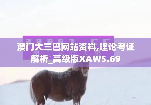 澳门大三巴网站资料,理论考证解析_高级版XAW5.69