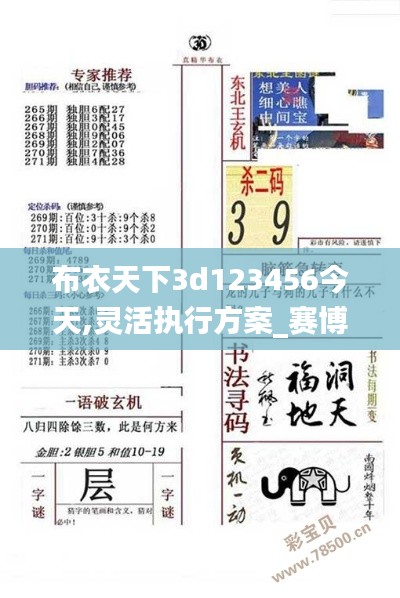 布衣天下3d123456今天,灵活执行方案_赛博版ZRD5.64