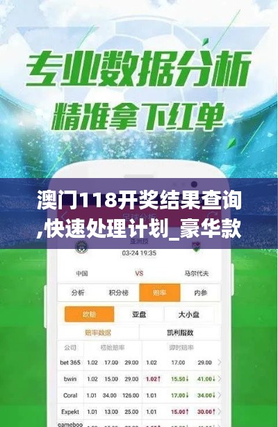 澳门118开奖结果查询,快速处理计划_豪华款WBJ5.26