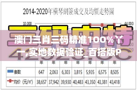 澳门三肖三码精准1OO%丫一,实地数据验证_百搭版PMU5.39