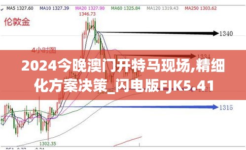 2024今晚澳门开特马现场,精细化方案决策_闪电版FJK5.41