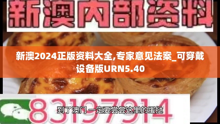 新澳2024正版资料大全,专家意见法案_可穿戴设备版URN5.40