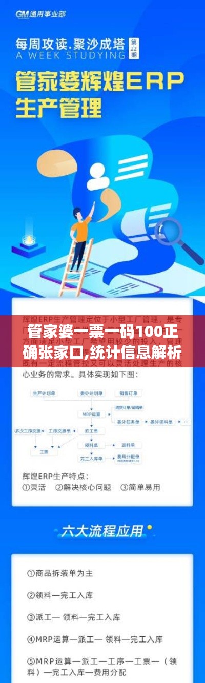 管家婆一票一码100正确张家口,统计信息解析说明_效率版HZH5.97