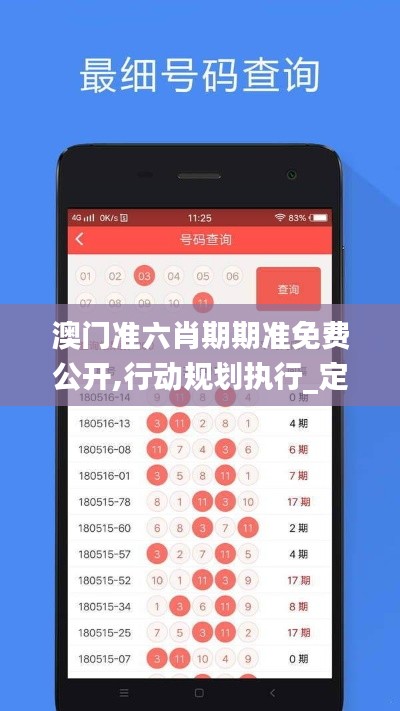 澳门准六肖期期准免费公开,行动规划执行_定制版FAW5.16