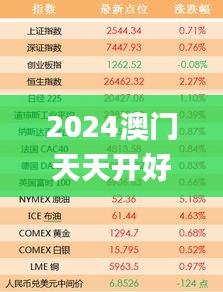 2024澳门天天开好彩,灵活执行方案_采购版NYG5.75